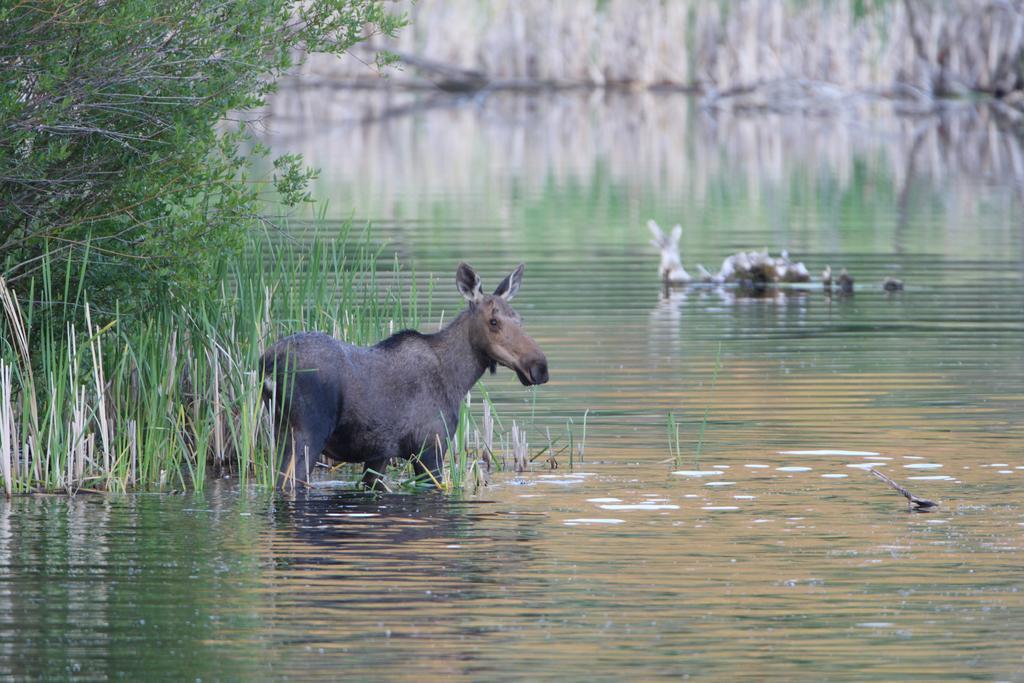 Lac Le Jeune Resort & Nature Centre Kamloops Dış mekan fotoğraf