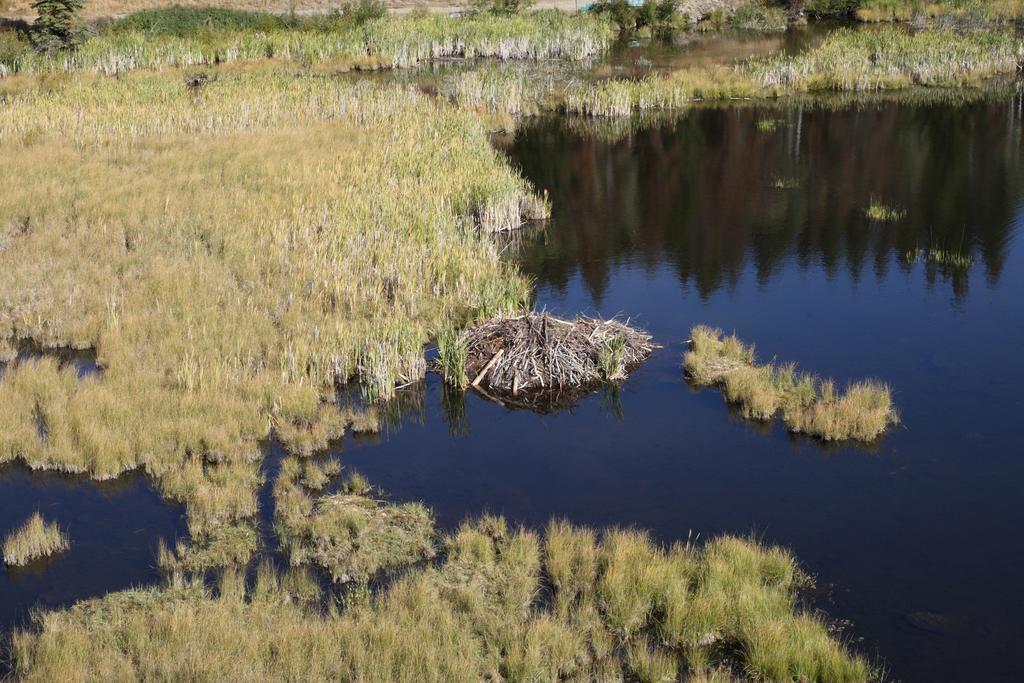 Lac Le Jeune Resort & Nature Centre Kamloops Dış mekan fotoğraf